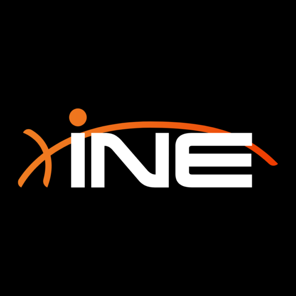 INE Logo